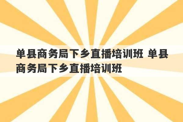 单县商务局下乡直播培训班 单县商务局下乡直播培训班