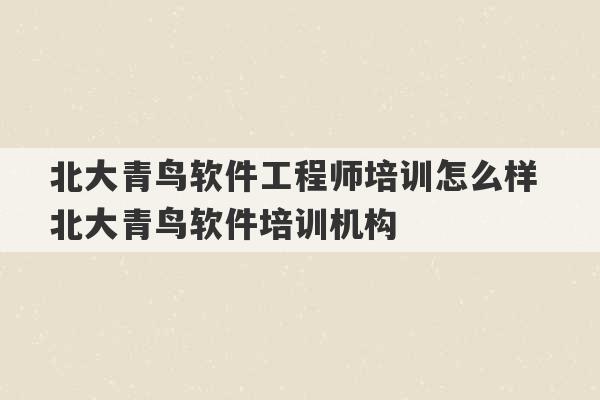 北大青鸟软件工程师培训怎么样 北大青鸟软件培训机构