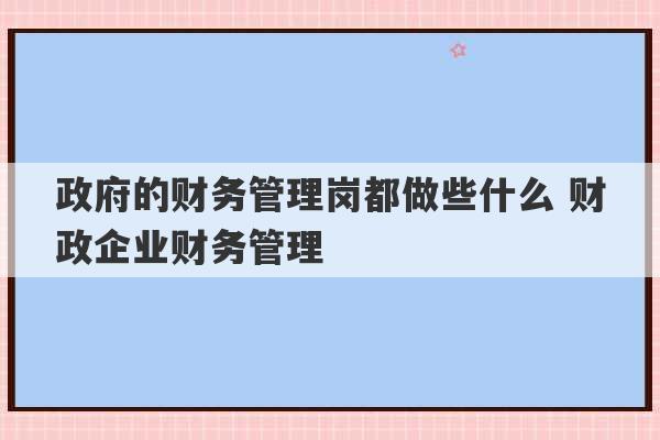 政府的财务管理岗都做些什么 财政企业财务管理