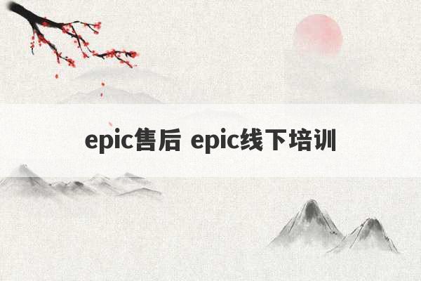 epic售后 epic线下培训