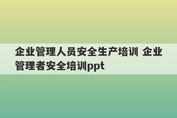 企业管理人员安全生产培训 企业管理者安全培训ppt