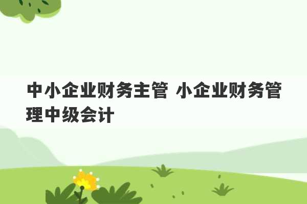 中小企业财务主管 小企业财务管理中级会计