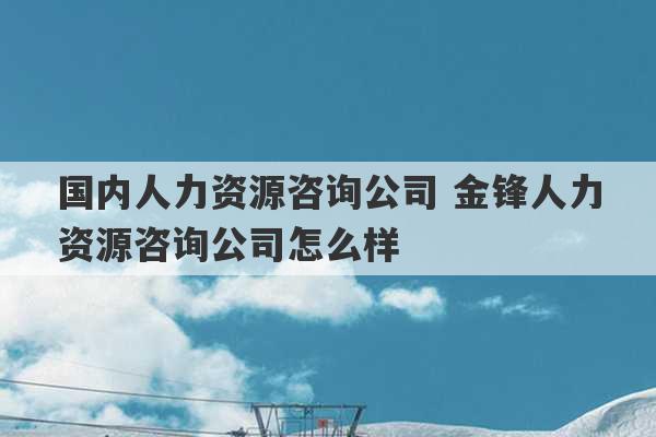 国内人力资源咨询公司 金锋人力资源咨询公司怎么样