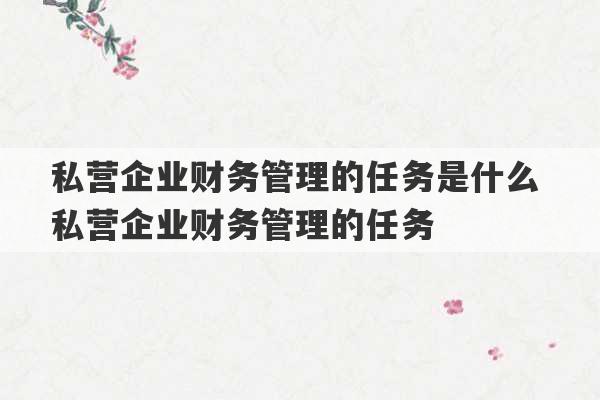 私营企业财务管理的任务是什么 私营企业财务管理的任务