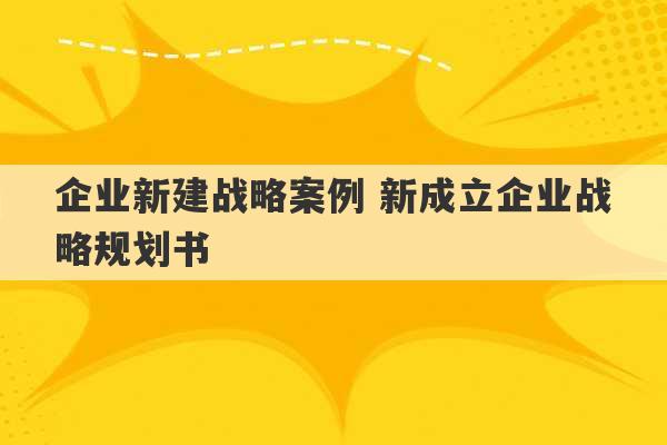 企业新建战略案例 新成立企业战略规划书