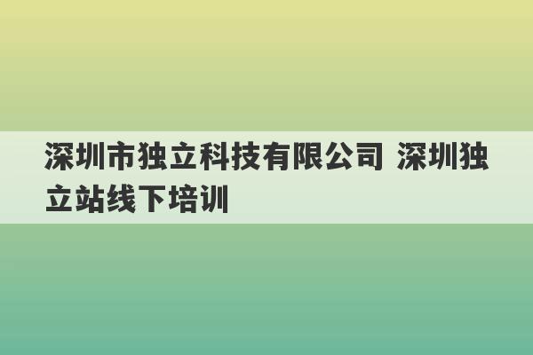 深圳市独立科技有限公司 深圳独立站线下培训