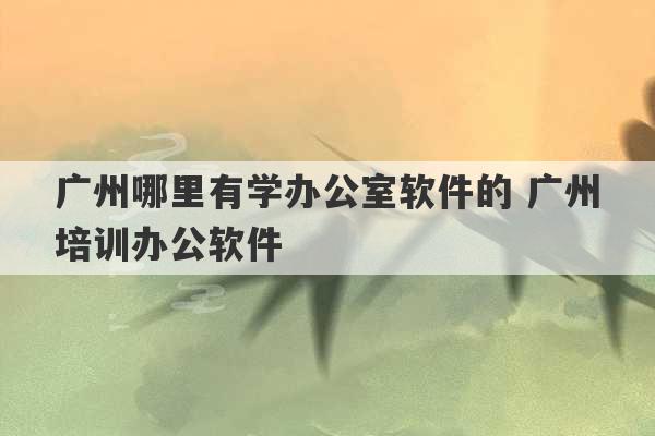 广州哪里有学办公室软件的 广州培训办公软件