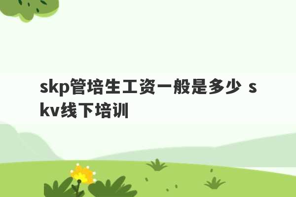 skp管培生工资一般是多少 skv线下培训