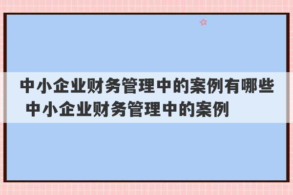 中小企业财务管理中的案例有哪些 中小企业财务管理中的案例