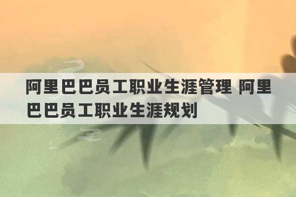 阿里巴巴员工职业生涯管理 阿里巴巴员工职业生涯规划