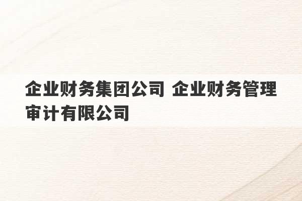 企业财务集团公司 企业财务管理审计有限公司