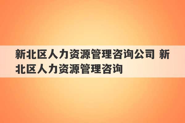 新北区人力资源管理咨询公司 新北区人力资源管理咨询