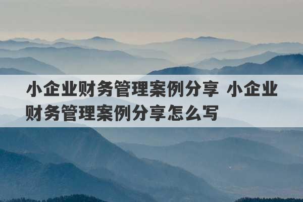 小企业财务管理案例分享 小企业财务管理案例分享怎么写