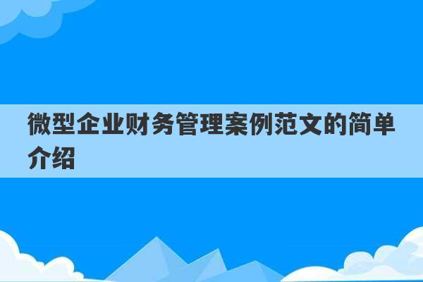 微型企业财务管理案例范文的简单介绍