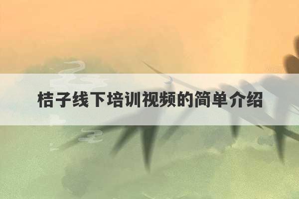 桔子线下培训视频的简单介绍