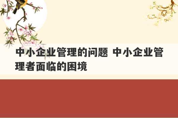 中小企业管理的问题 中小企业管理者面临的困境