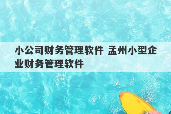 小公司财务管理软件 孟州小型企业财务管理软件