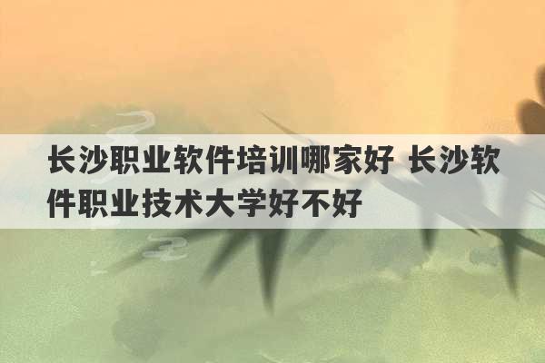 长沙职业软件培训哪家好 长沙软件职业技术大学好不好