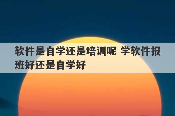 软件是自学还是培训呢 学软件报班好还是自学好