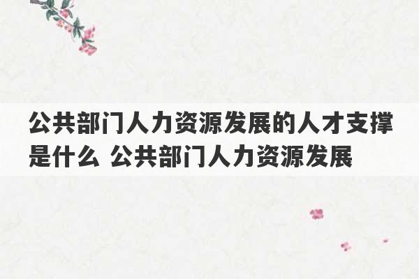 公共部门人力资源发展的人才支撑是什么 公共部门人力资源发展