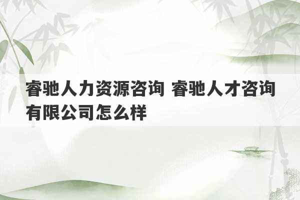 睿驰人力资源咨询 睿驰人才咨询有限公司怎么样