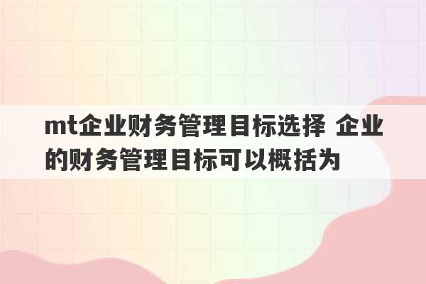 mt企业财务管理目标选择 企业的财务管理目标可以概括为