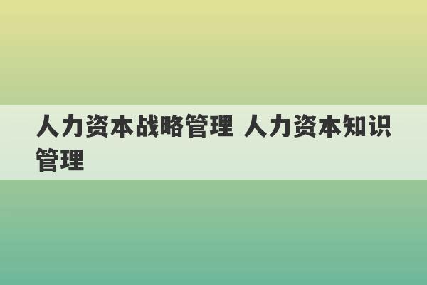 人力资本战略管理 人力资本知识管理