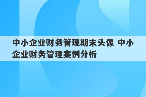 中小企业财务管理期末头像 中小企业财务管理案例分析