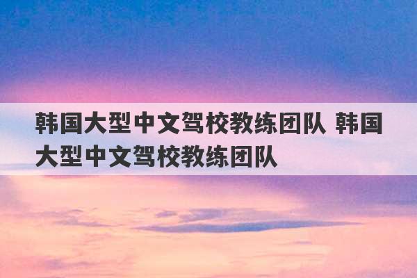 韩国大型中文驾校教练团队 韩国大型中文驾校教练团队