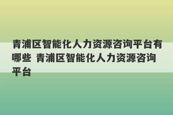 青浦区智能化人力资源咨询平台有哪些 青浦区智能化人力资源咨询平台