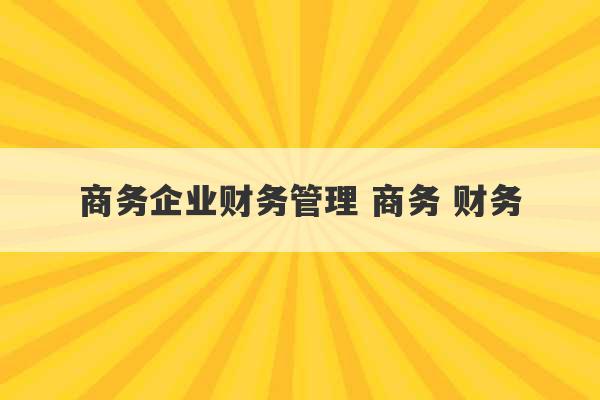 商务企业财务管理 商务 财务