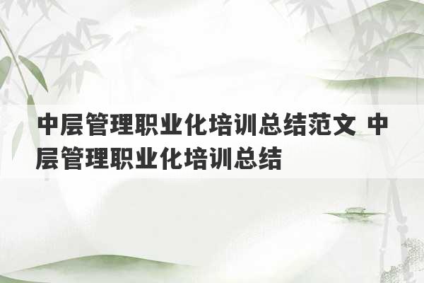 中层管理职业化培训总结范文 中层管理职业化培训总结