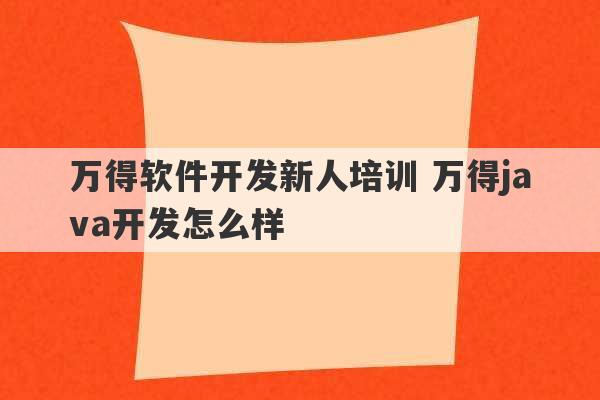 万得软件开发新人培训 万得java开发怎么样