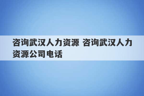 咨询武汉人力资源 咨询武汉人力资源公司电话