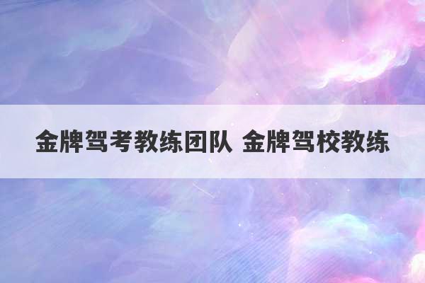 金牌驾考教练团队 金牌驾校教练