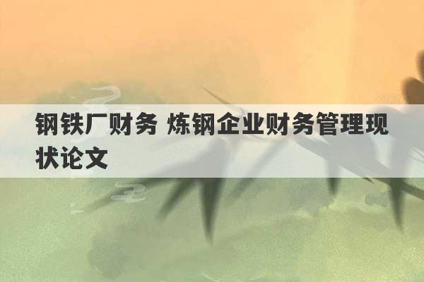 钢铁厂财务 炼钢企业财务管理现状论文