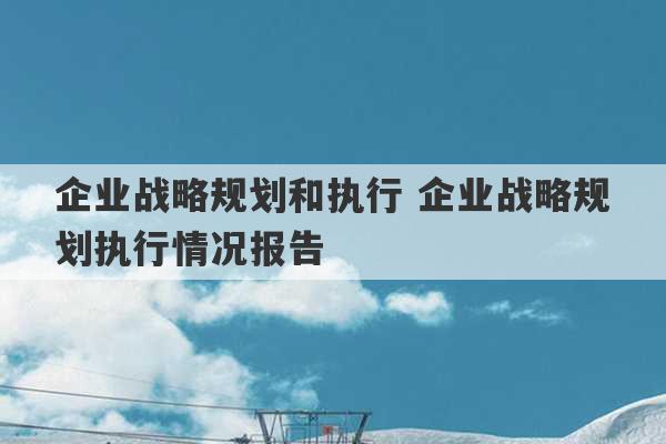 企业战略规划和执行 企业战略规划执行情况报告