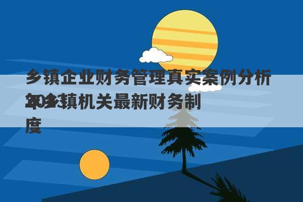 乡镇企业财务管理真实案例分析 2023
年乡镇机关最新财务制度