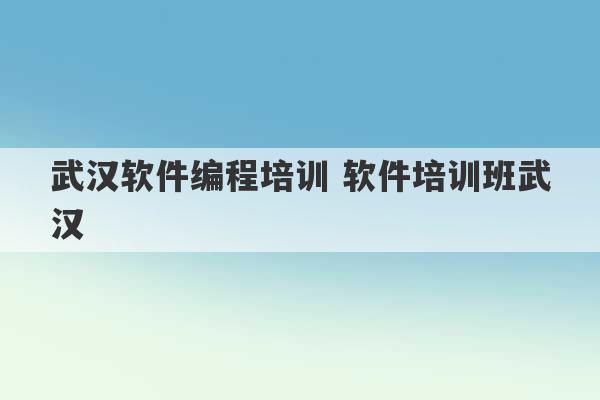 武汉软件编程培训 软件培训班武汉