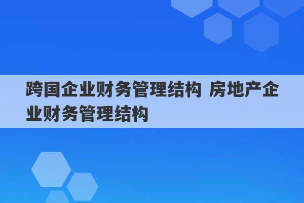 跨国企业财务管理结构 房地产企业财务管理结构