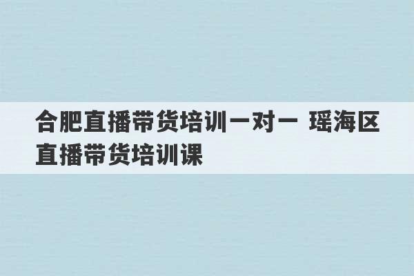 合肥直播带货培训一对一 瑶海区直播带货培训课