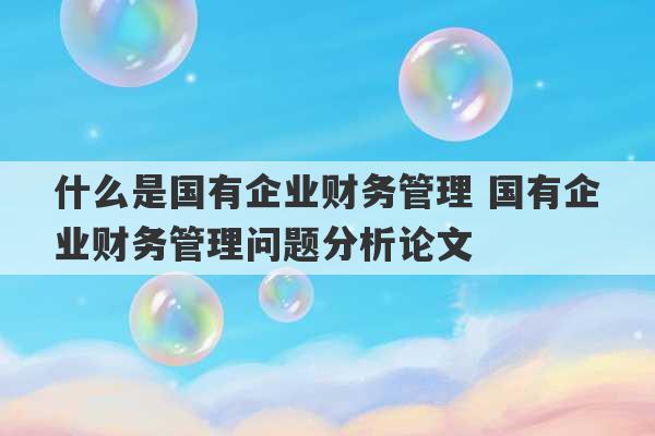 什么是国有企业财务管理 国有企业财务管理问题分析论文