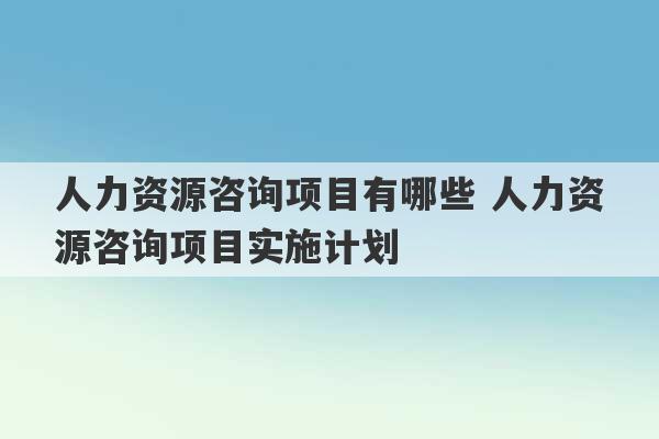 人力资源咨询项目有哪些 人力资源咨询项目实施计划