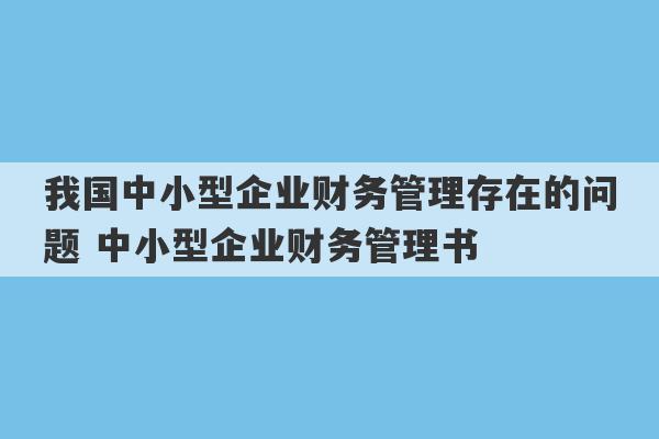 我国中小型企业财务管理存在的问题 中小型企业财务管理书