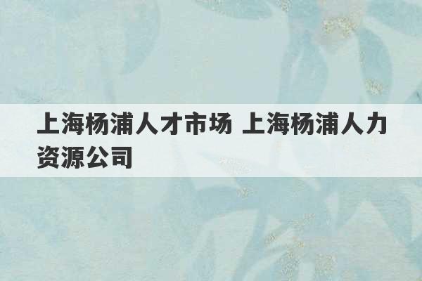 上海杨浦人才市场 上海杨浦人力资源公司