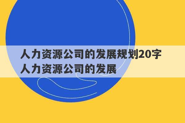 人力资源公司的发展规划20字 人力资源公司的发展