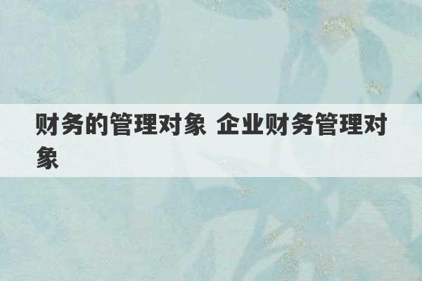 财务的管理对象 企业财务管理对象