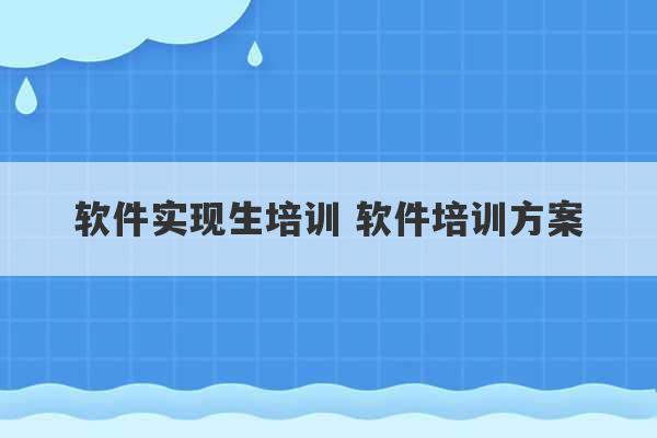 软件实现生培训 软件培训方案