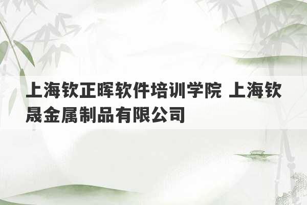 上海钦正晖软件培训学院 上海钦晟金属制品有限公司