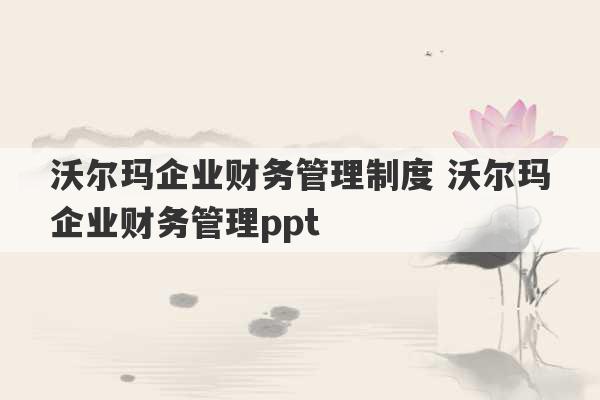 沃尔玛企业财务管理制度 沃尔玛企业财务管理ppt